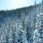 On Scrooge and His Art Collection: A Little Xmas Offering