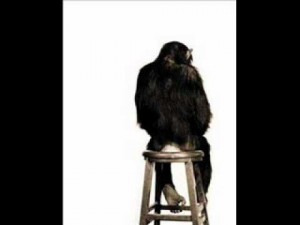 Thoughts on Thanaticism