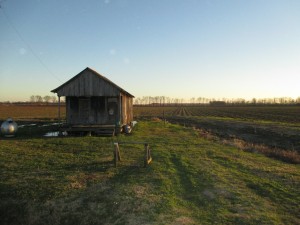 A plantation cabin identical to the childhood home of the author's mother © Robert L. Reece | Magnolia Fresh