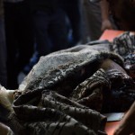 Gaza: How Will It End?