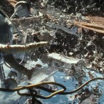 Anthropo{mise-en-s}cène