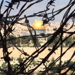 When will the Barred Owl of Minerva Fly?