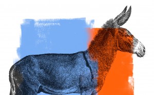 watercolor donkey 2, 2011 © Georgia Democrats | Flickr