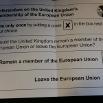 Voting Dangerously: Britain, Europe, and the United States