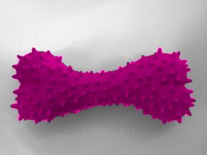 The Postcoloniality of Gender