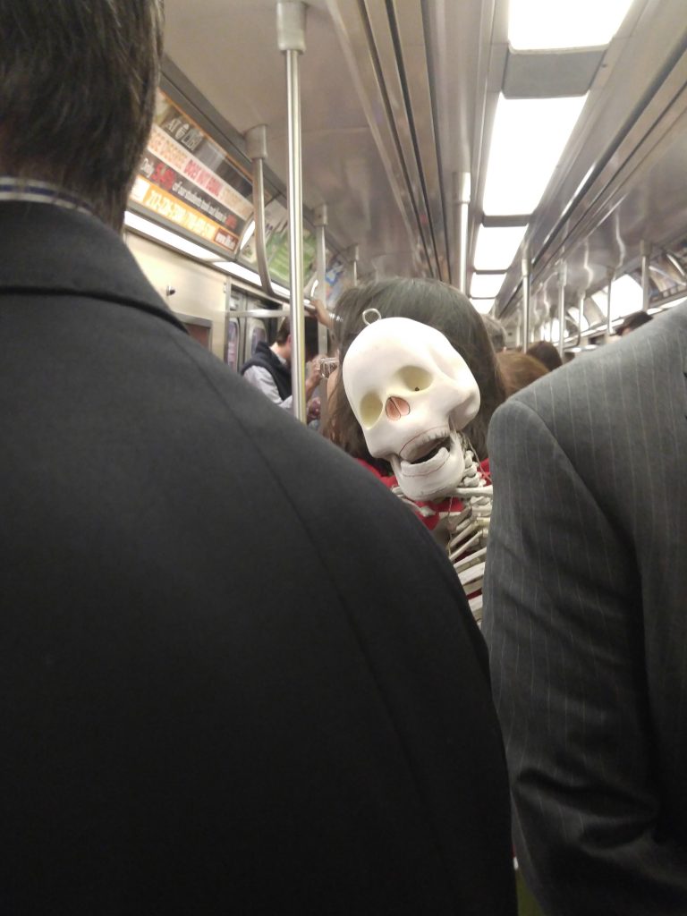 Walking with Disaster Public Seminar