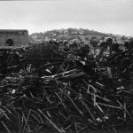 Moral and Political Competence, Redux