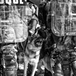 The Metamorphoses of the 2013 Brazilian Protests