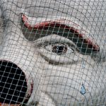 The Tweets of a Clown, When No One Is Around