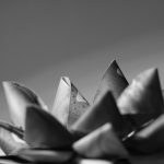 The Authoritarian’s Gift