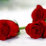 Black Bachelorette, White Mask