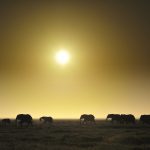 Translating Non-Western Philosophy