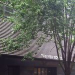 Intellectual Foremothers