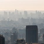 An Excerpt from Fear City