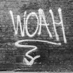 In the Shadow of the Swastika