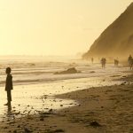 They Won’t Stop Until They Own it All