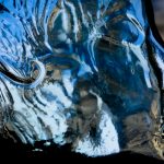 The Paradoxes of Identity Politics