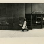 The Majority Finds Its School