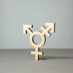 Trans Bodies/Trans Identities