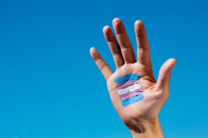 Trauma, Transitioning, and “Puberty Book-Ended by Free Fall”