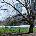 Sentencing the Present