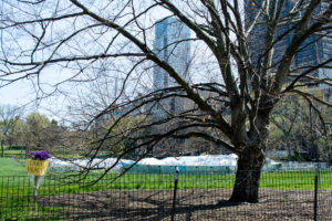 Sentencing the Present