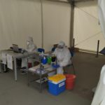 The Age of Infection