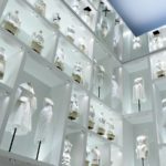 Radical Hope Amid Catastrophe