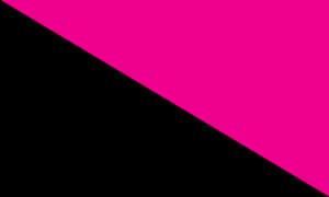 Anarchafeminist Manifesto 1.0