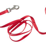 Amy Cooper: The Paradox of the Shameless White Liberal