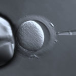 The New York State Fertility Mandate and Compulsory Heterosexuality