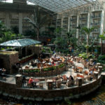 Enjoy Your Pandemic Waterpark