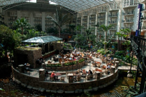 Enjoy Your Pandemic Waterpark