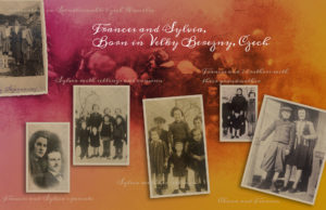 On the Uses of the Palm