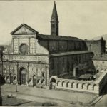 Black Swans No More!