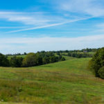 What A Korean American Will Find in <em>Minari</em>