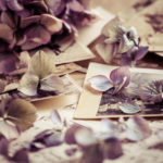 Learning to Think About Memory and Politics