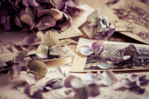 Learning to Think About Memory and Politics