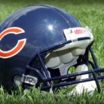 Bear Fight in Chicago