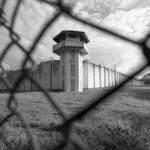 For Want of Wild Beasts