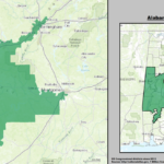 Race and Redistricting