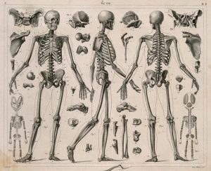 When Disasters Are Good For Museums