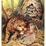 It’s Time for Democrats to Claim the Moral High Ground