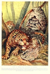 It’s Time for Democrats to Claim the Moral High Ground