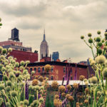 Reimagining Nature—The High Line Experiment