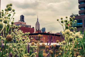 Reimagining Nature—The High Line Experiment