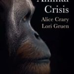 Crisis / Orangutans