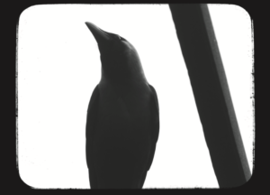 The Art of Contemplating Justice