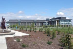 Counting the Social Cost of What College Costs