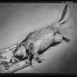 Extermination: From Plague, to War